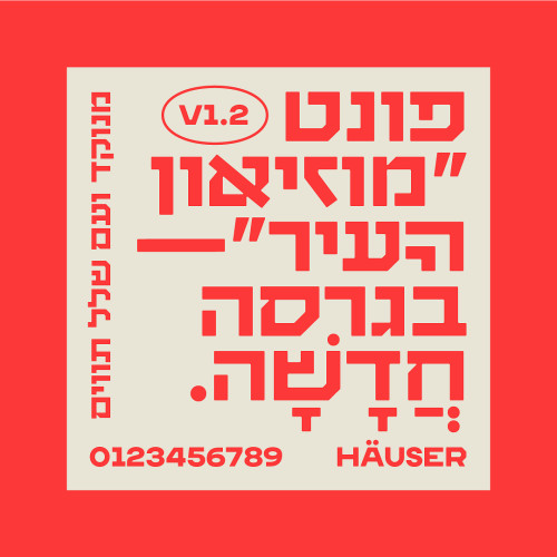 מוזיאון העיר