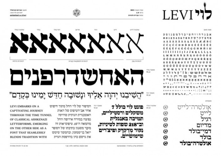 לוי