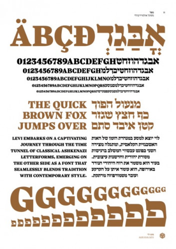 לוי
