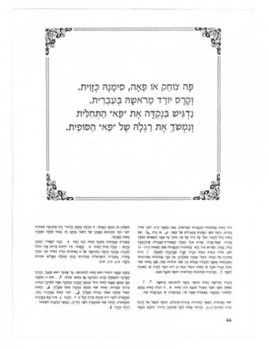 ״הרפתקאות״ עדה ירדני