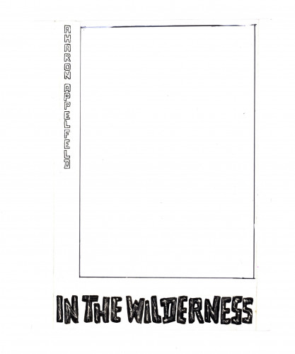 ״In the Wilderness״ Aharon Applefeld