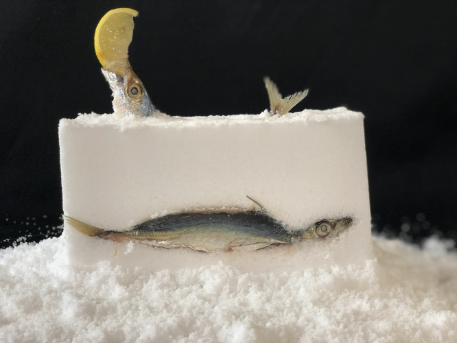 Salt Repast